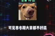 娱乐吃瓜酱网暴